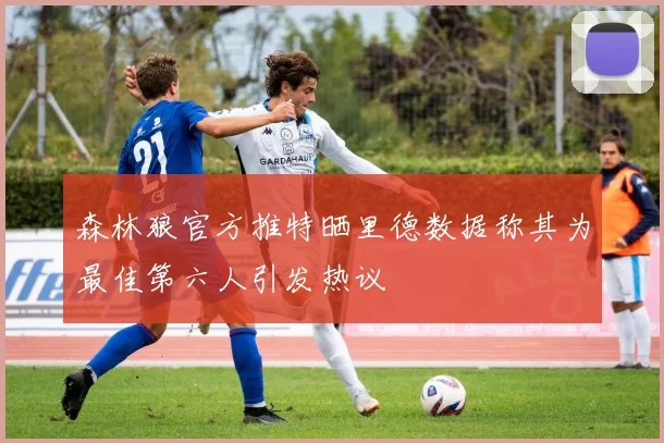森林狼官方推特晒里德数据称其为最佳第六人引发热议