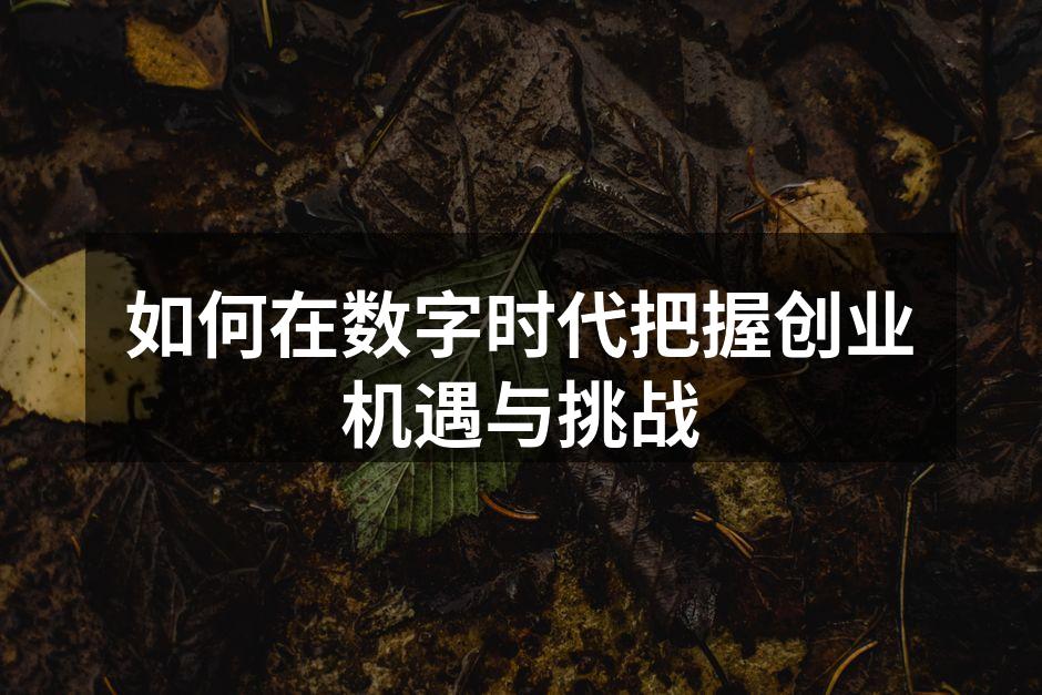 如何在数字时代把握创业机遇与挑战