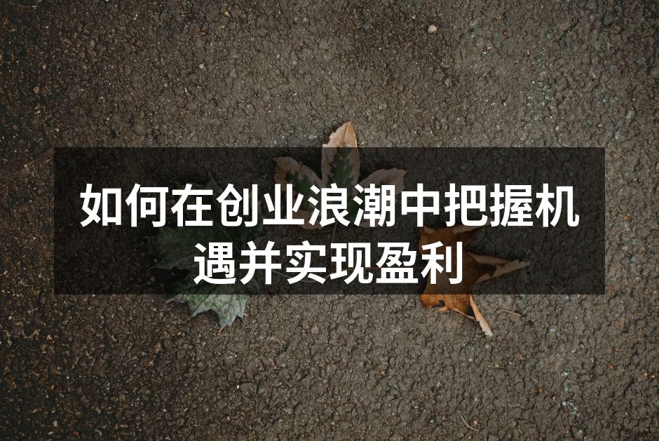 如何在创业浪潮中把握机遇并实现盈利