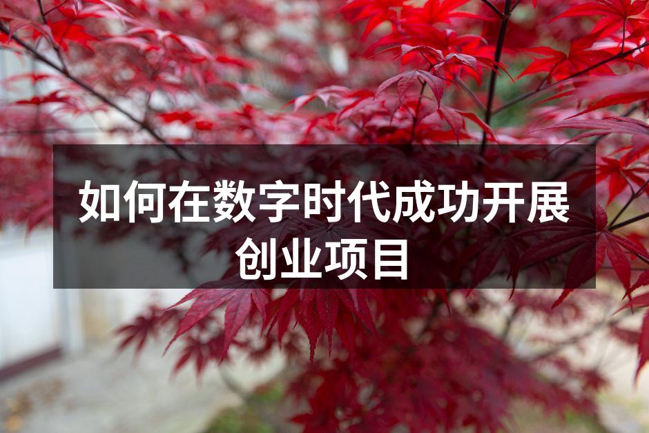 如何在数字时代成功开展创业项目
